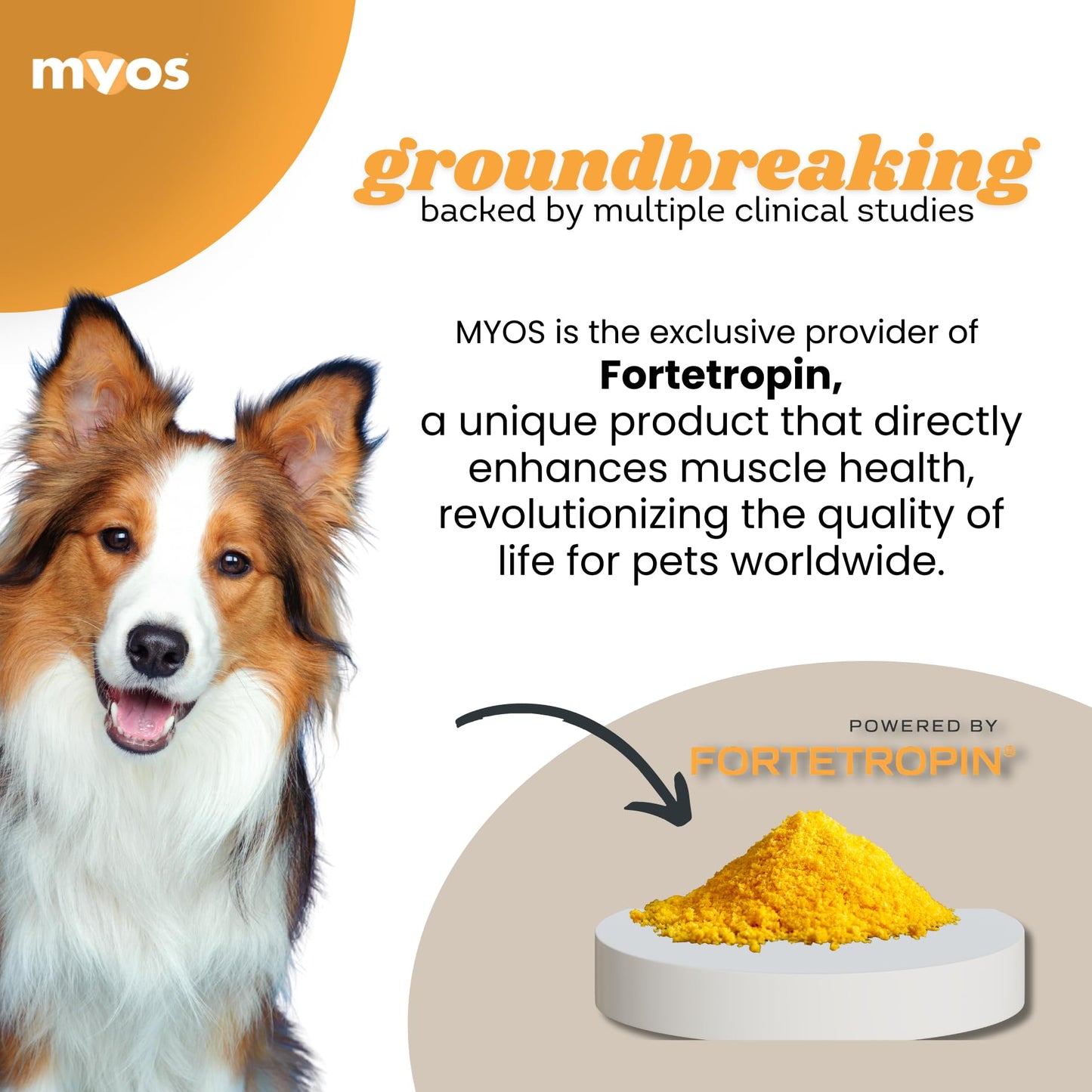 MYOS Canine Muscle Formula - All-Natural Muscle Building Supplement - Helps Reduce Muscle Loss in Aging Dogs and Improve Recovery from Injury or Surgery