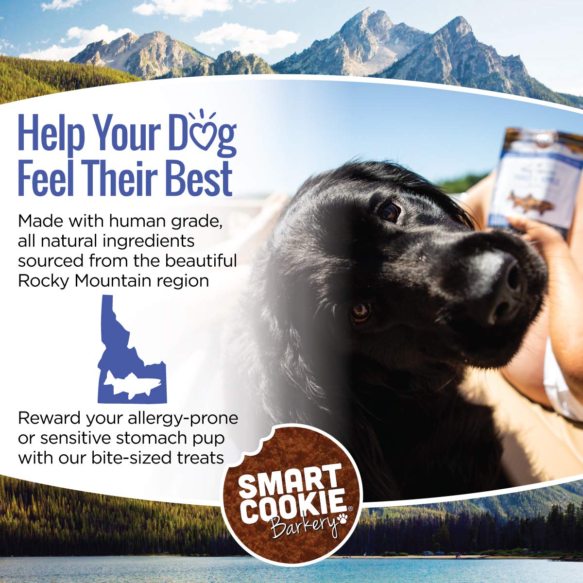 Smart Cookie All Natural Soft Dog Treats - Trout & Apple - Healthy Dog Treats for Allergies, Sensitive Stomachs - Chewy, Grain Free, Human-Grade, Made in The USA - 5oz Bag