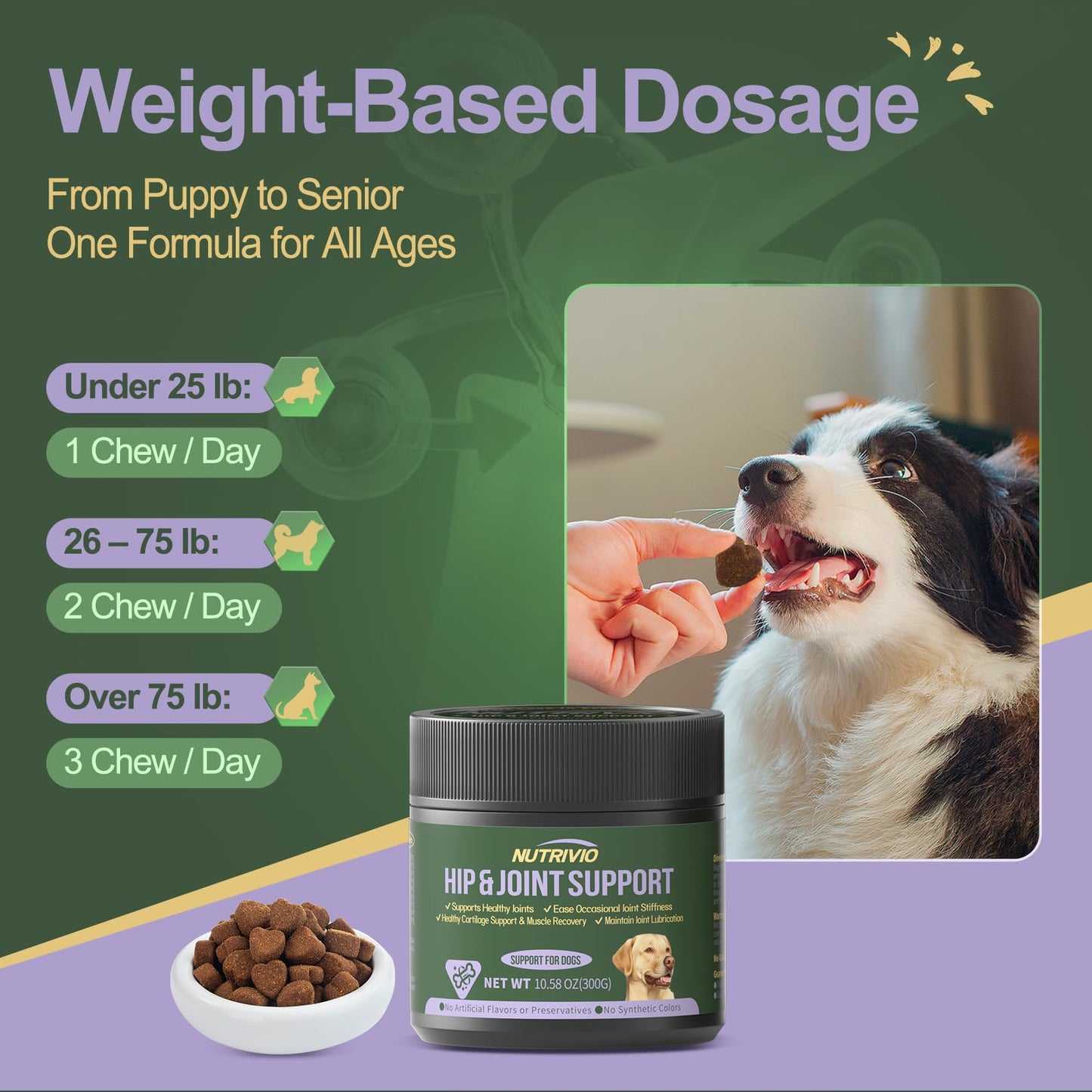 Nutrivio Hip and Joint Supplement for Dogs Chews with Glucosamine HCI, Chondroitin, MSM, Omega-3 & Turmeric – Joint Pain Relief – Large & Small Breed - Mobility Support- Natural Chicken Flavor