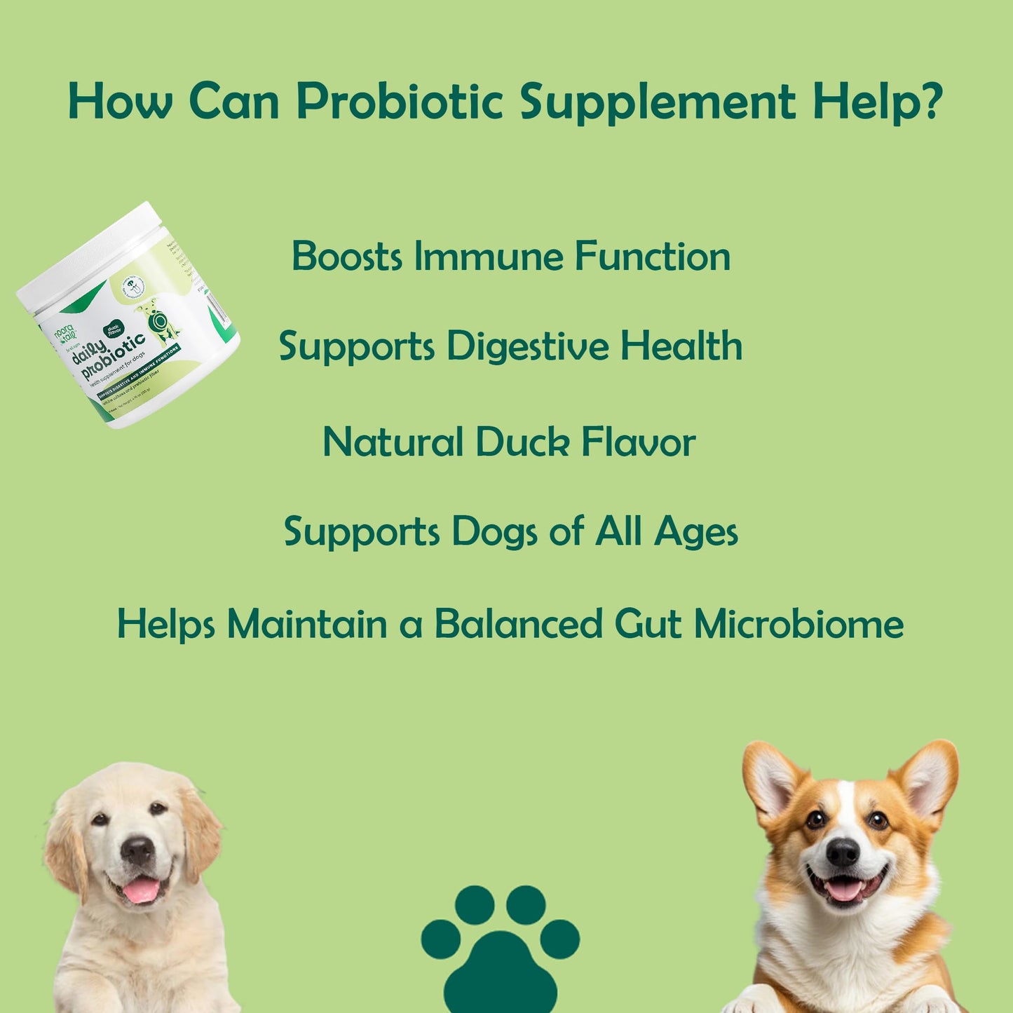 NooraTail Probiotic Supplement