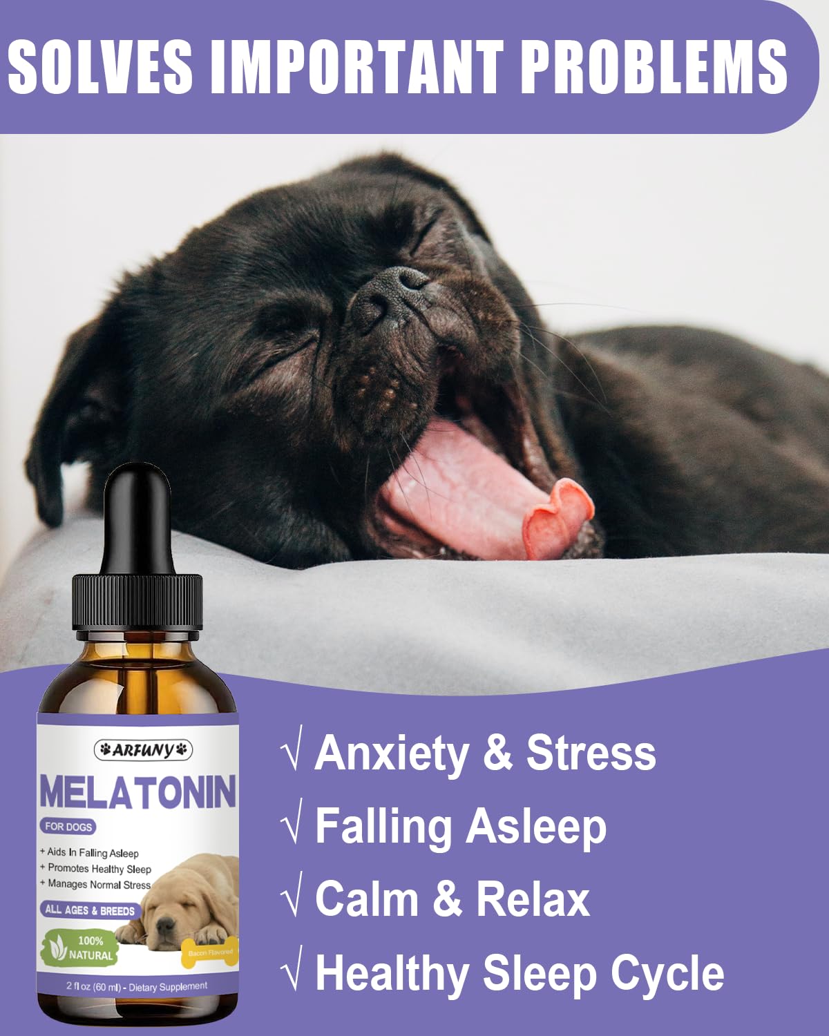 Melatonin for Dogs - Natural Calming Drops for Anxiety & Stress - with Valerian Root, Ashwagandha, L-Theanine - Liquid Melatonin for Dogs Helps with Sleep, Thunder, Fireworks - Bacon Flavor