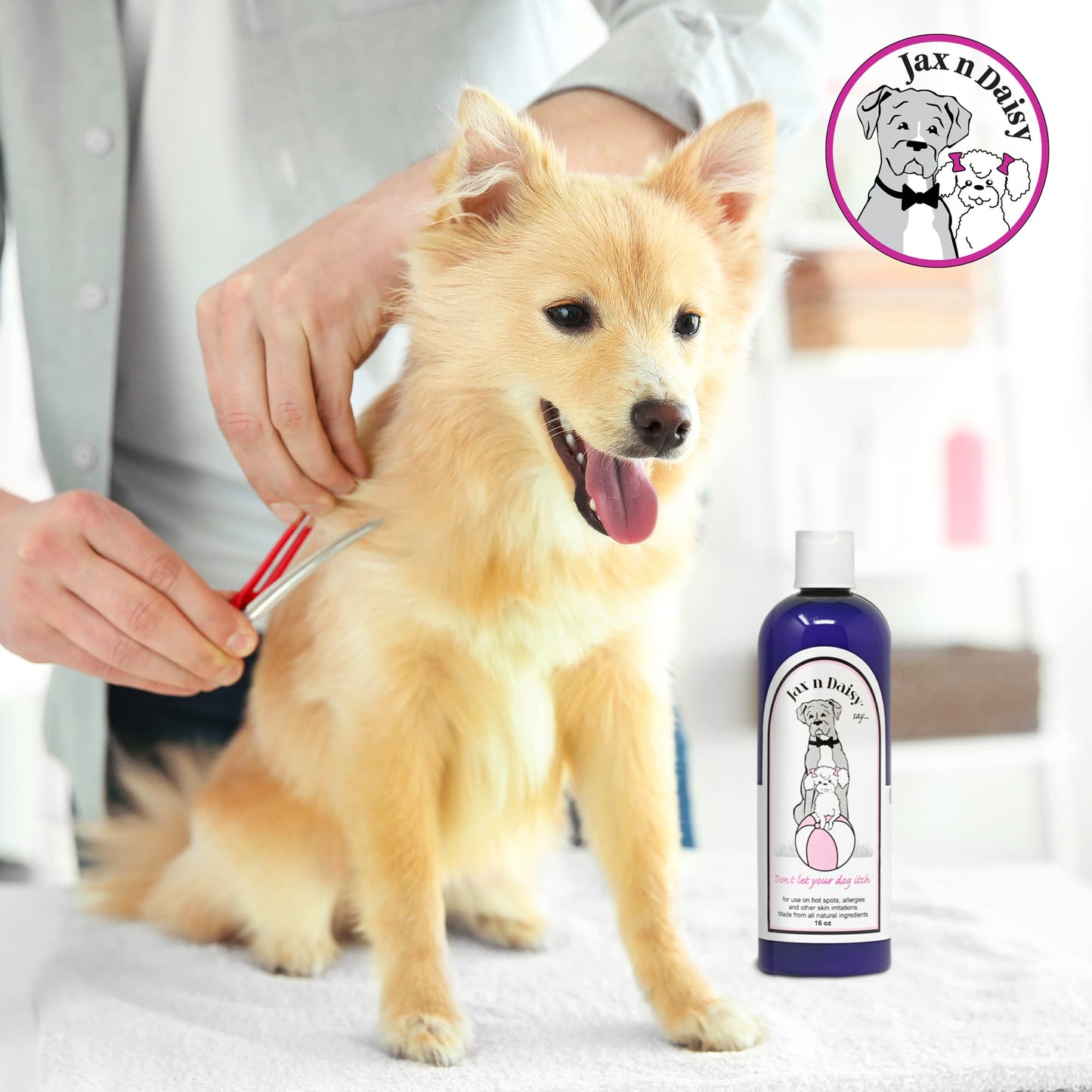 Jax N Daisy don t let Your dog Itch Lotion Itch Relief for Dogs 16oz Treatment and Skin Soother for Dogs With Itchiness dog Grooming Supplies Anti for