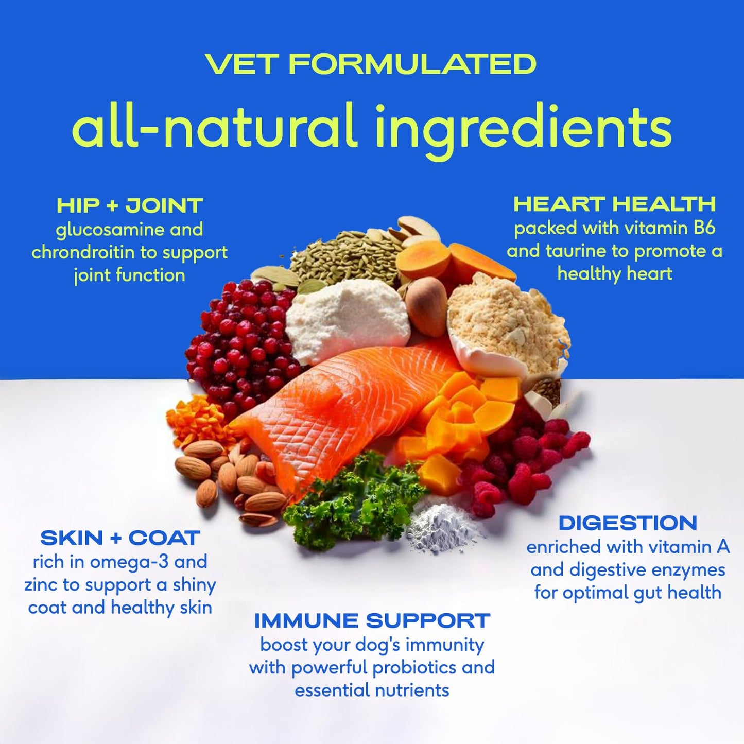 Native Pet Full-Body Wellness Duo: Turkey Bone Broth Powder for Dogs (96 Servings) & Daily Dog Multivitamin (30 Scoops) - Daily 11-in-1 Multivitamin and Pet Gravy Food Topper for Picky Eaters