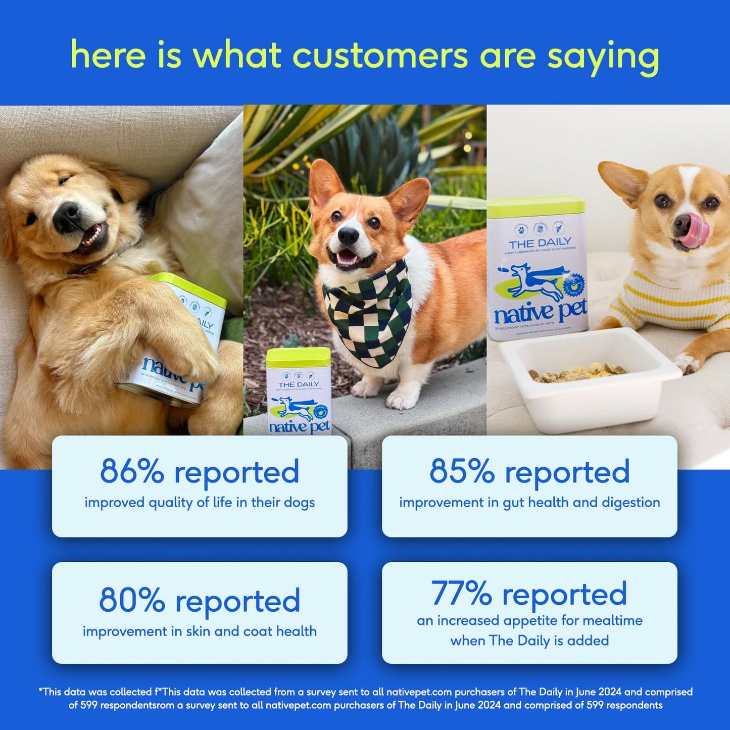 Native Pet Dog Vitamins & Supplements - 11-in-1 Multivitamin Powder for Dogs Food Topper - Collagen, Glucosamine, Probiotics, Omega & More- Supports Healthy Gut, Mobility & Overall Health -30 Scoops