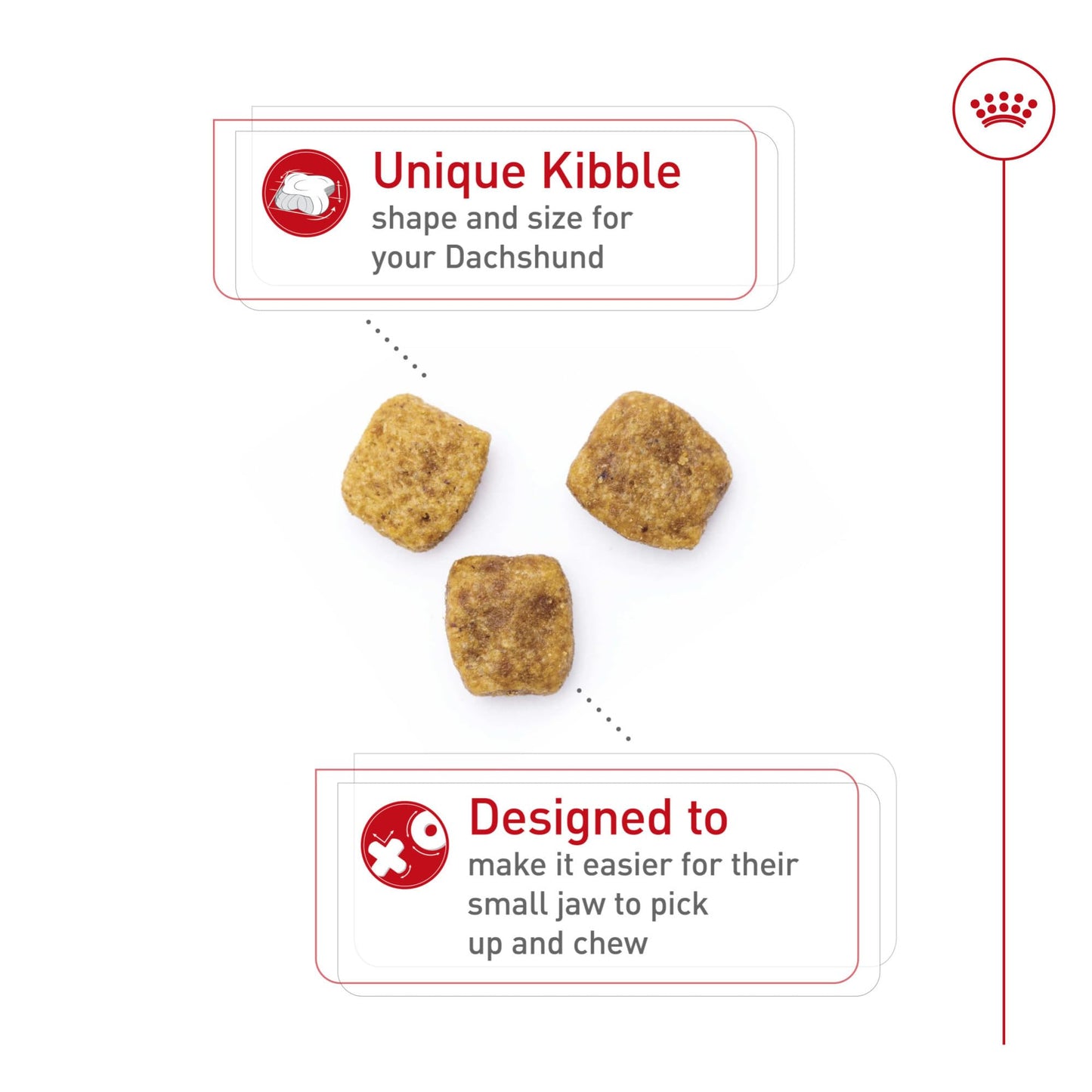 Royal Canin Dachshund Adult Breed Specific Dry Dog Food, 2.5 lb bag