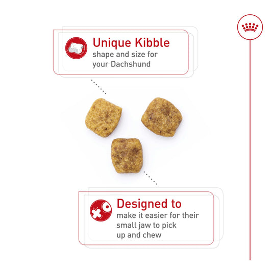 Royal Canin Dachshund Adult Breed Specific Dry Dog Food, 2.5 lb bag