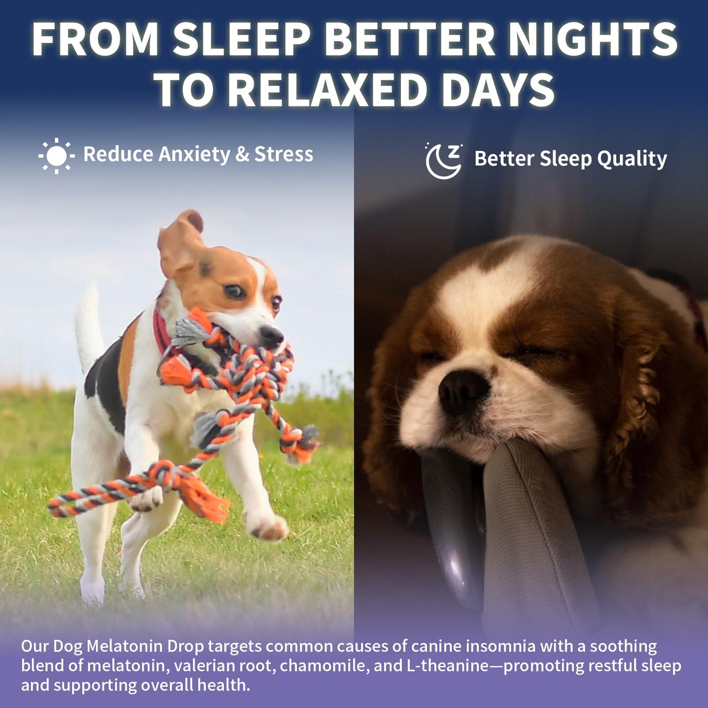 WEALLIN Dog Multivitamin Chews + Melatonin Drops Bundle – Daily Wellness & Sleep Support | Promotes Vitality, Calm Behavior & Restful Sleep