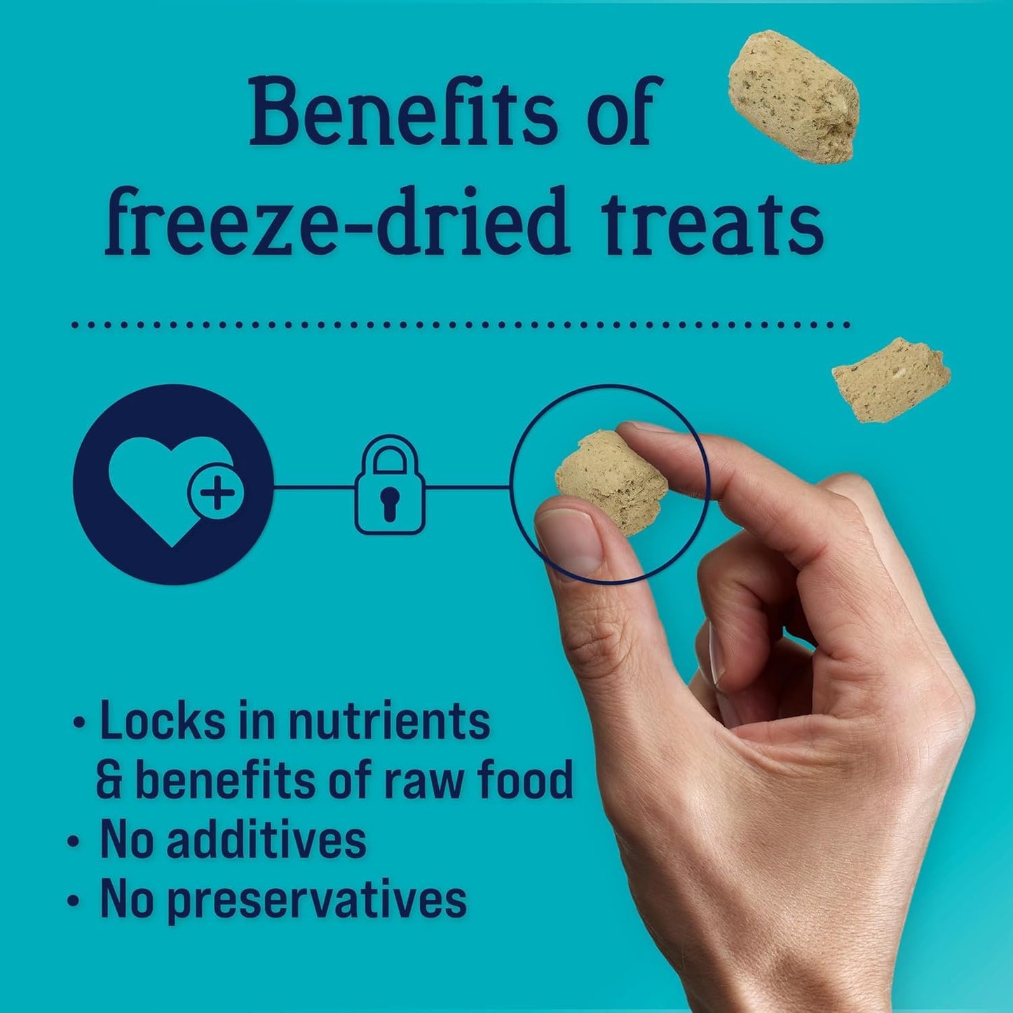 Stewart Freeze Dried Dog Food Topper, PuffTops, Bacon & Cheese, 6 Ounce Resealable Pouch, Flavor Enhancing Meal Topper or Dog Treat, Made in USA