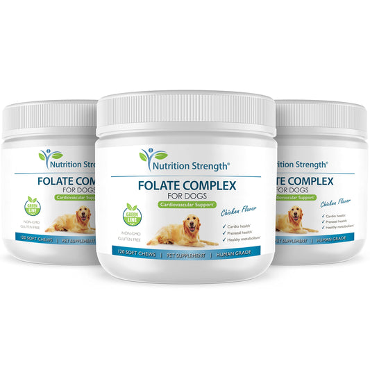 Nutrition Strength Folate for Dogs to Promote Cardiovascular & Prenatal Health, Support DNA Synthesis & Cell Maintenance, Folic Acid for Dogs with Zinc, Biotin, Iron & Vitamin B12, 120 Soft Chews