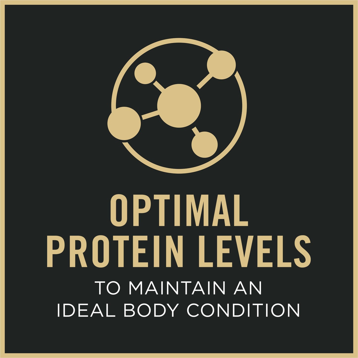 Purina Pro Plan Wet Dog Food For Senior Dogs Adult 7 Plus Chicken and Rice Entree Classic - (Pack of 12) 13 oz. Cans