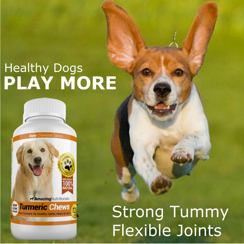 Joint Support Turmeric Probiotics for Dogs Digestive Health Bundle - Eliminates Joint Pain Inflammation, Incontinence, Gas and Diarrhea