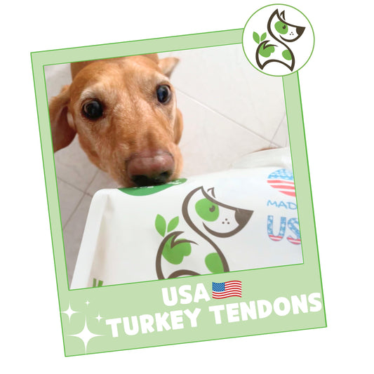 Nature Gnaws USA Turkey Tendons for Dogs (8oz) - Delicious Grain Free Reward Snack for Small, Medium & Large Breeds - Premium Natural Dog Chew Treats
