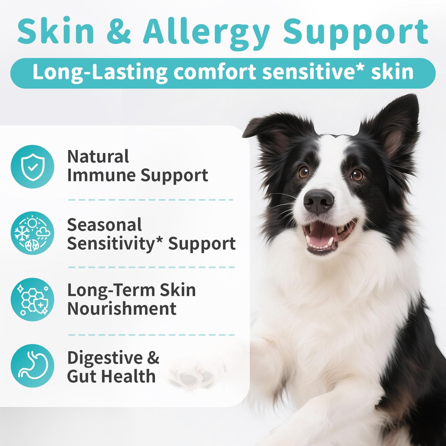 POPPAW Dog Skin & Allergy Chews - Dog Probiotics for Sensitive Skin Health Support - Allergy Relief - Support Seasonal Allergies, Immune & Gut & Digestive Health Supplement - Beef Flavor - 90 Count