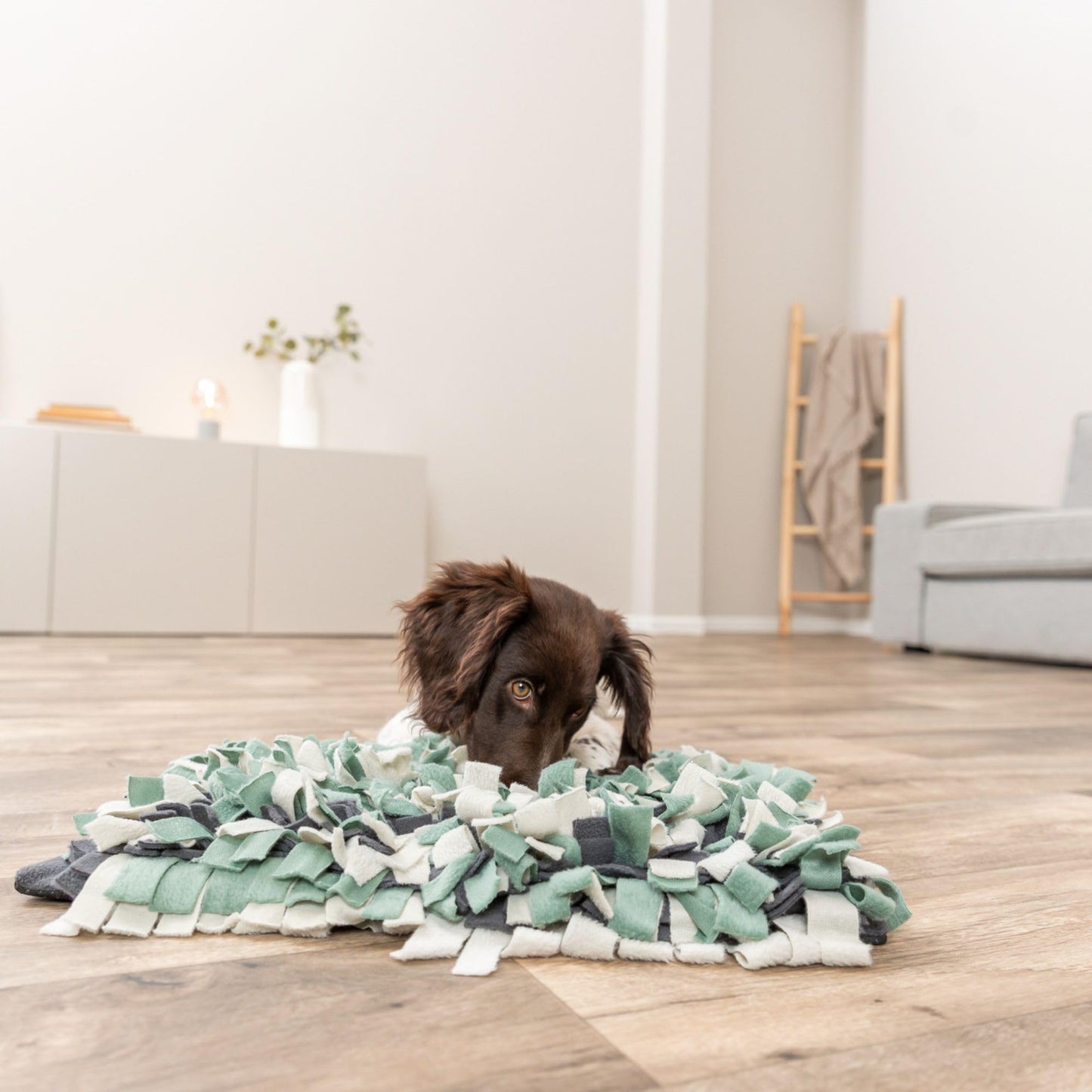 TRIXIE Snuffle Mat for Dogs, Level 1 Interactive Dog Toys, Slow Feeder Puzzle, Foraging Training