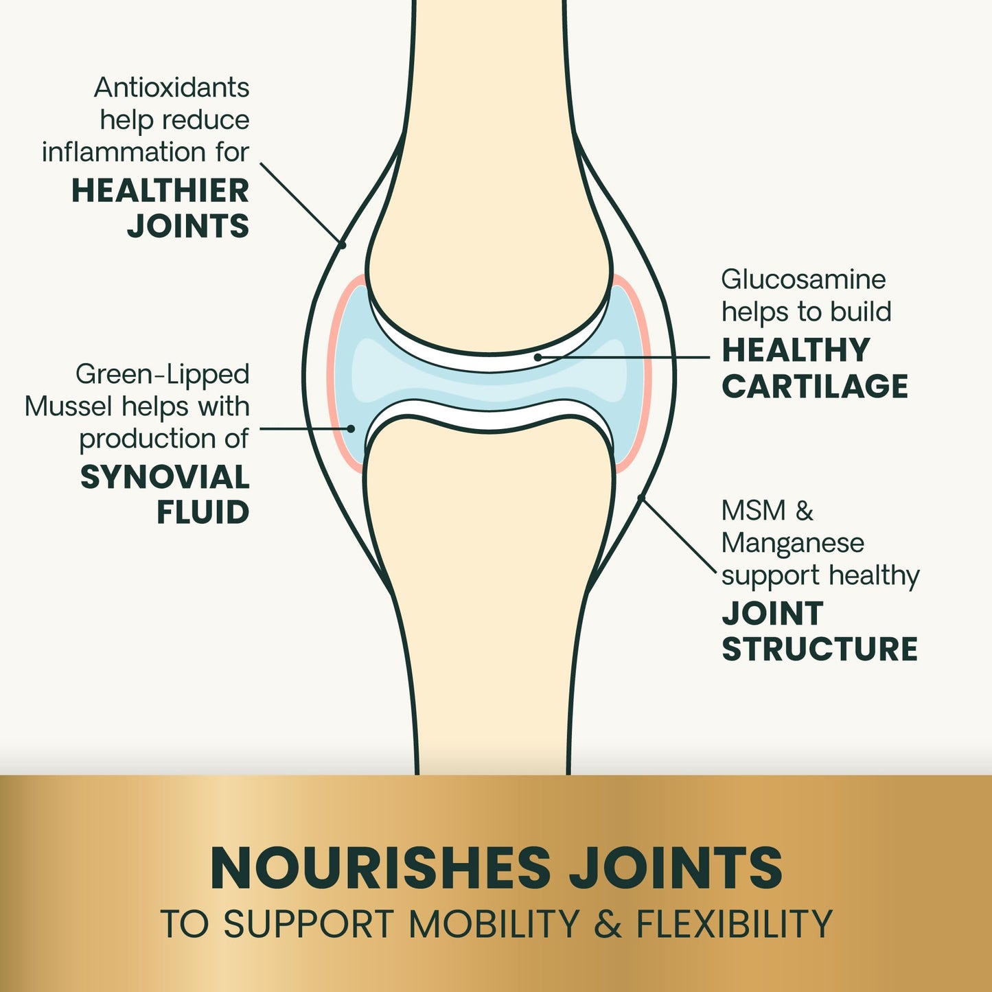 VetriScience Ultimate Strength Healthy Hip & Joint Chews, GlycoFlex Glucosamine, Chondroitin and Green-Lipped Mussel Joint Supplement for Small Breed Dogs, Soothe Joint Discomfort, Duck, 60 Count