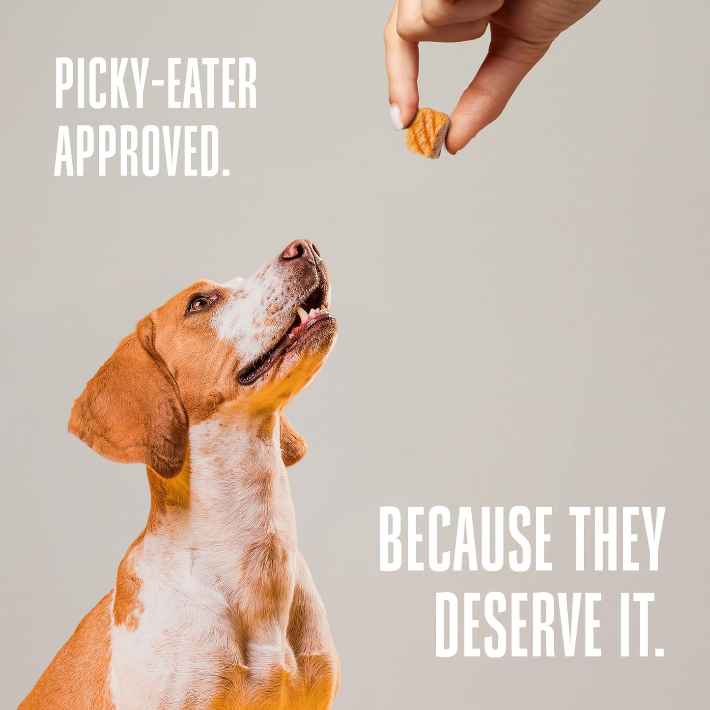 Whole Life Dog Just One Salmon Freeze Dried Dog Treats - Human Grade High Protein Food, Healthy Training Snacks, Freeze Dried Salmon Food Toppers, USA Made Natural Treats - 2 oz (Value Pack of 1)