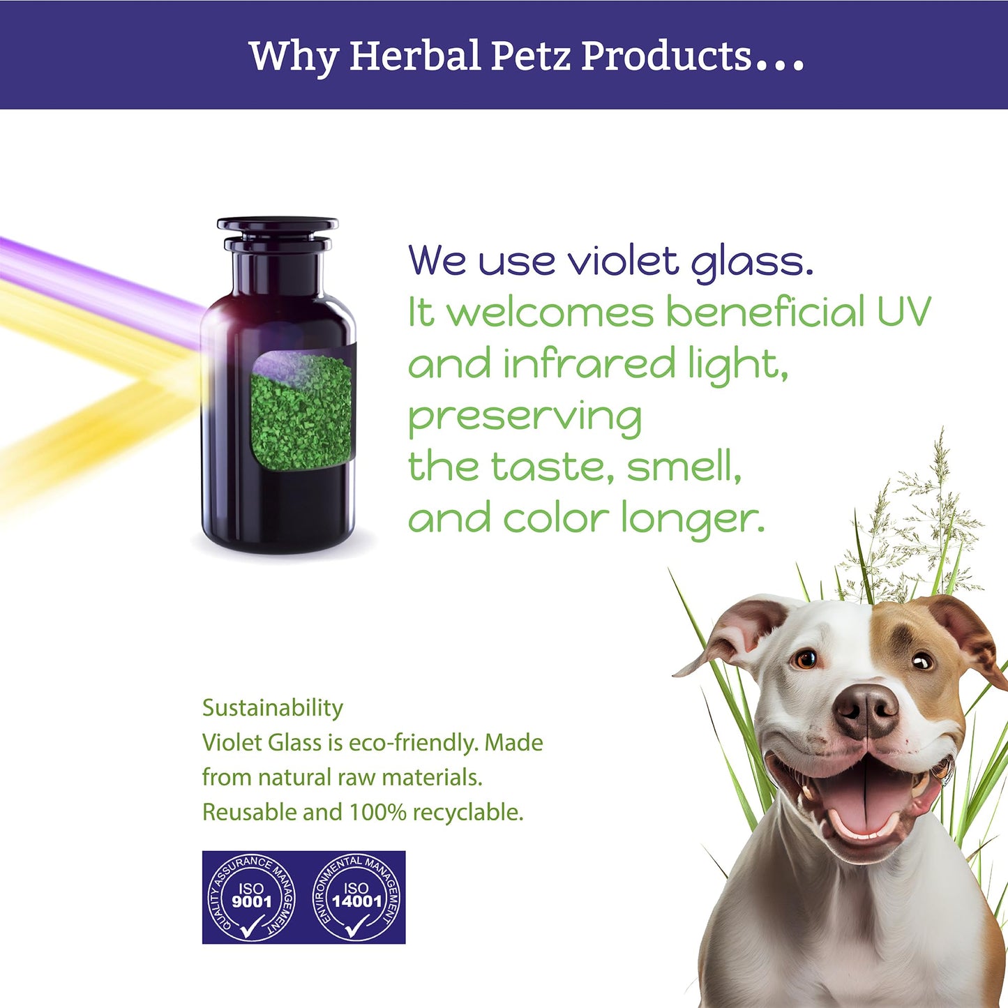 Herbal Petz Canine-Help for Dogs and Puppies - Herbal Health Supplement, Occasional Tummy Upsets, Gut Immune Support, Firm Stools, 1 Fluid Ounce Glass Bottle, Manufactured in The USA