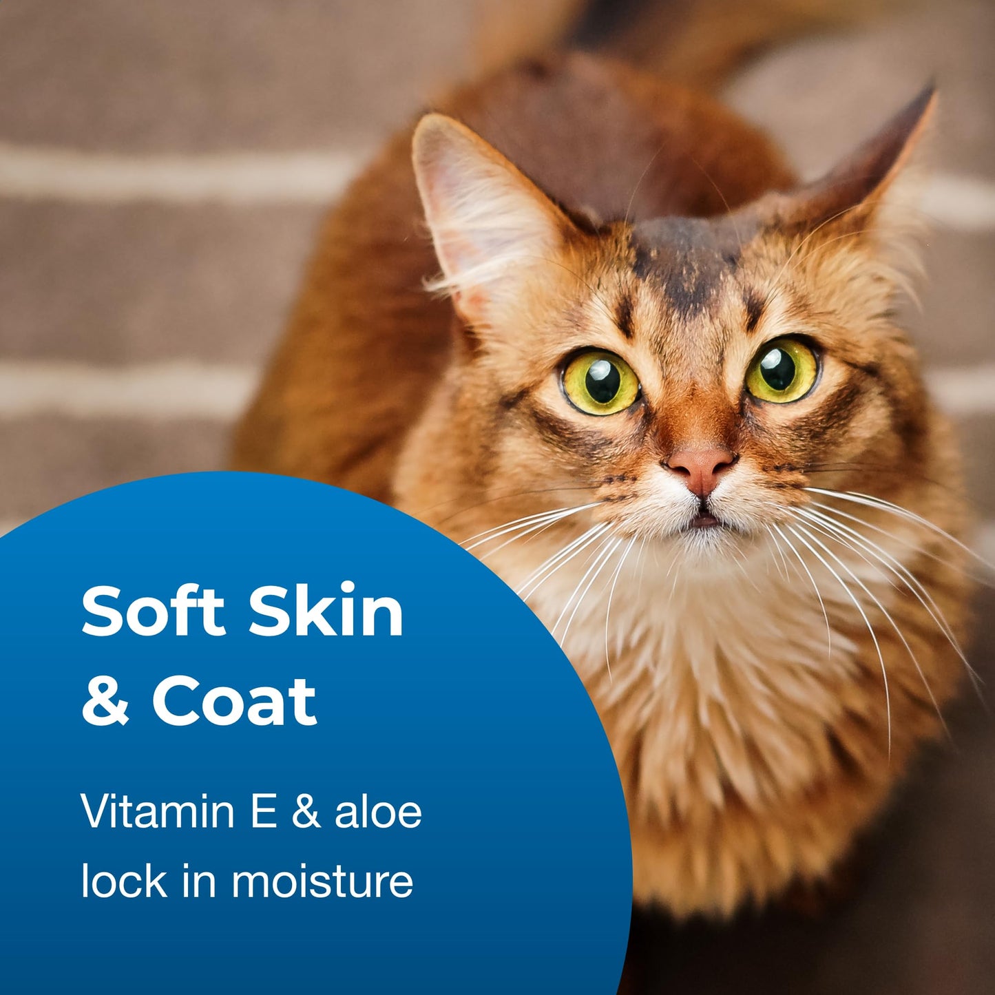 Healthy Breeds Chihuahua Apple Oatmeal Dog Shampoo - All Natural, Tearless & Hypoallergenic Cleanser & Conditioner - Best for Dry, Itchy or Irritated Skin - 8 oz