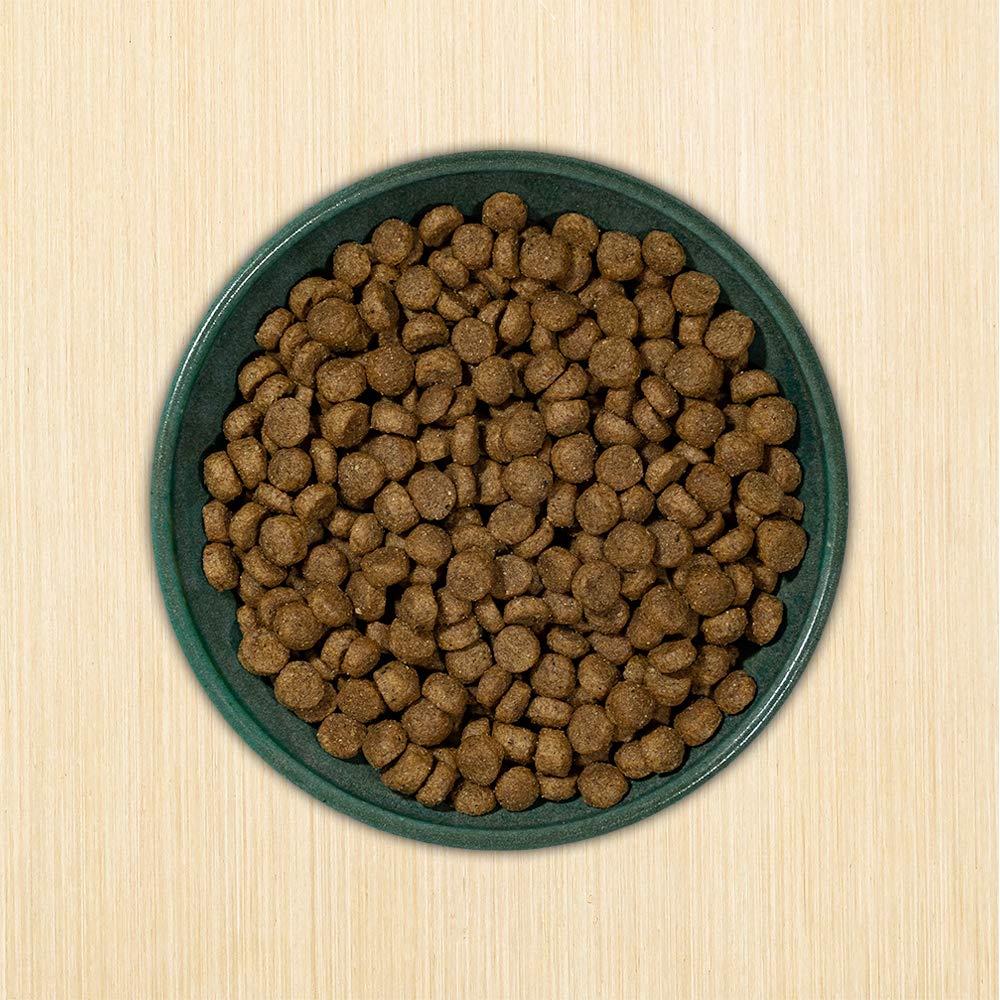 FIDO - Belly Bones for Dogs, 21 Yogurt Flavor Mini Dog Dental Treats (Made in USA) - 21 Count Dog Treats for Small Dogs - Plaque and Tartar Control for Fresh Breath, Digestive Health Support