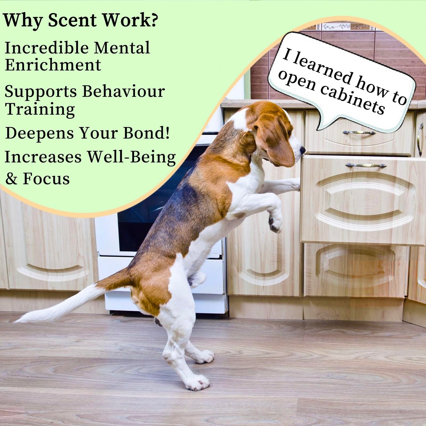 Dog scent training kit,Dog Brain Games, Hide and Seek Dog Toys, Dog Games - Fun Nose Work for Dogs, Sniff and Seek Dog Sniffing Toys , Dog Nosework Kit, Scent Work Kit for All Ages Dog (Green)