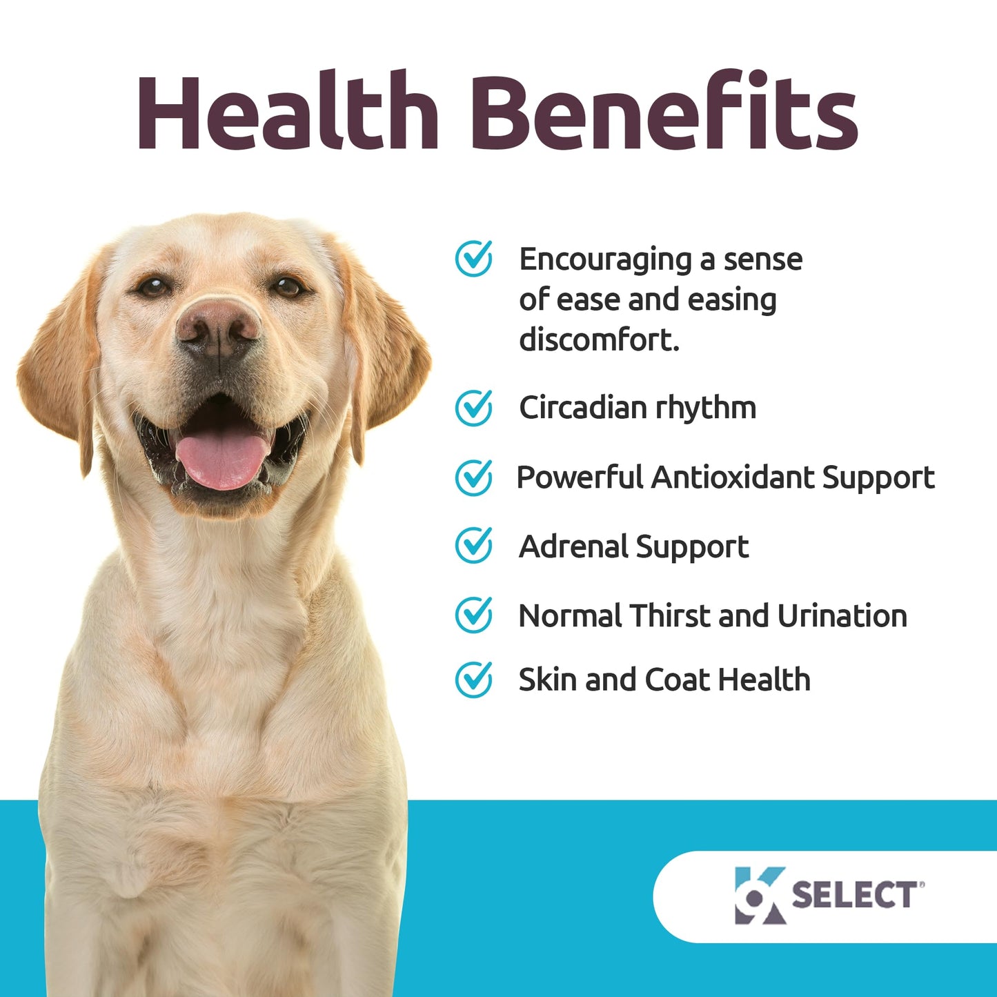 K9 Select Melatonin for Large Dogs - Composure Dog Calming Chews - Dog Melatonin for Sleep - Reduce Stress for Large Dogs - 6 mg, 90 Beef Flavored Chewable Tablets