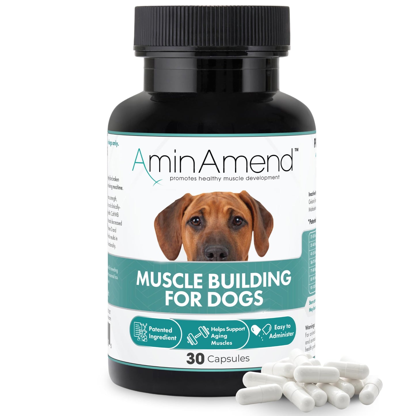 AminAmend Muscle Support Dog Supplements for Large Breed (21lbs+) with CaHMB & Vitamin D3 – Supports Strength, Mobility & Daily Activity for All Ages & Senior Dog – (30 Capsules)