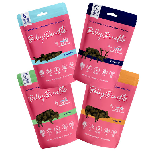 Zero/G Roasted Salmon Recipe Mini Dog Treats, 12 oz