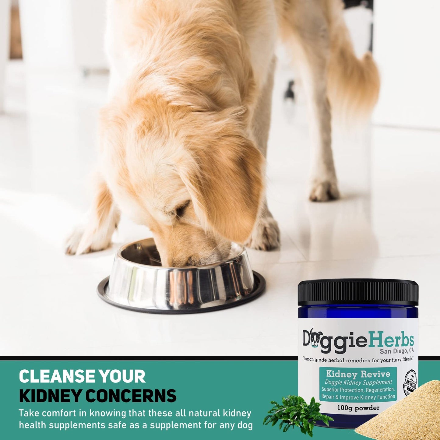 Certified Organic Kidney Revive - 100% Herbal Dog Kidney Health Healing Supplement for Acute and Chronic Ailments by Doggie Herbs