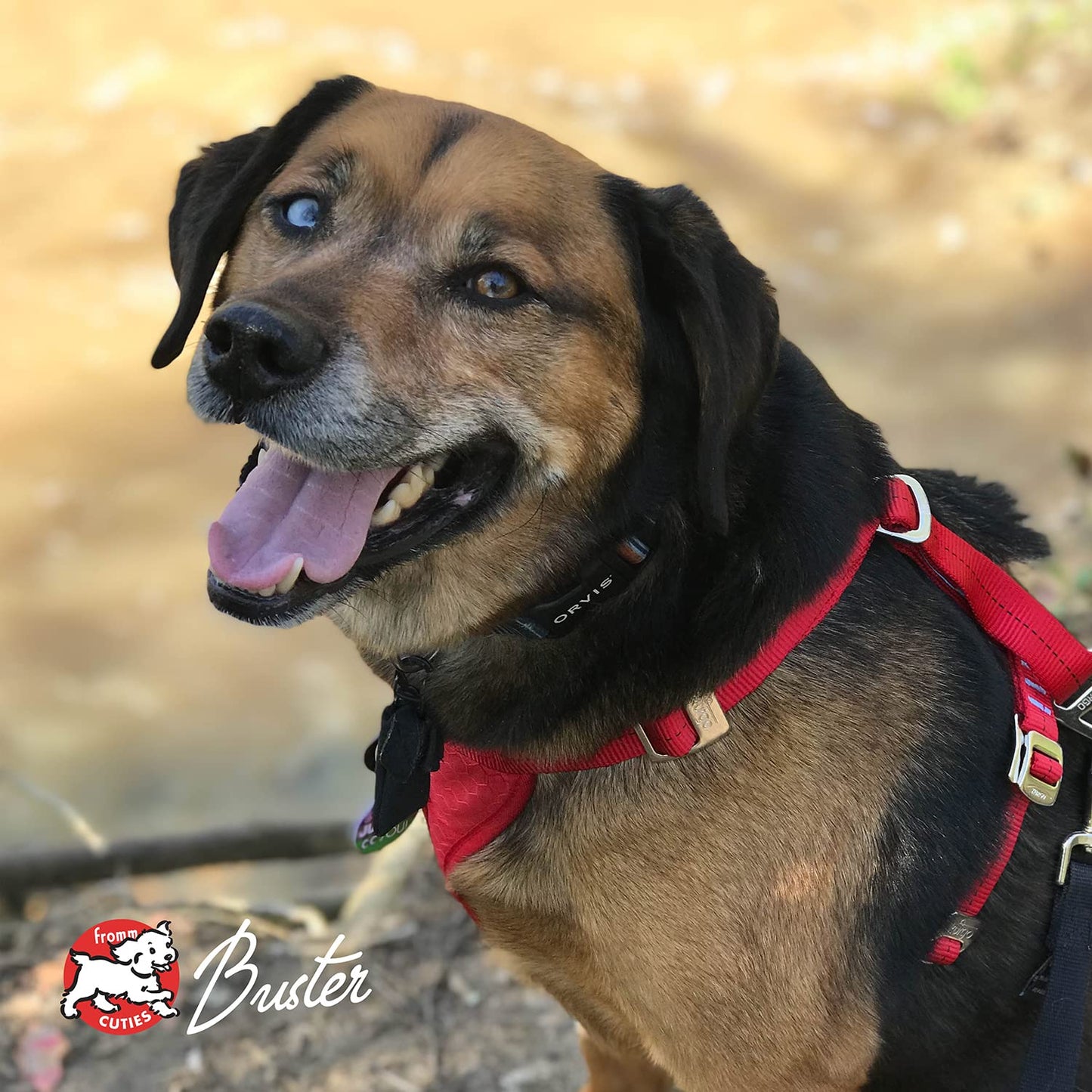 Fromm Weight Management Gold Premium Dry Dog Food - Weight Management Dog Food for Medium & Small Breeds - Turkey Recipe - 5 lb