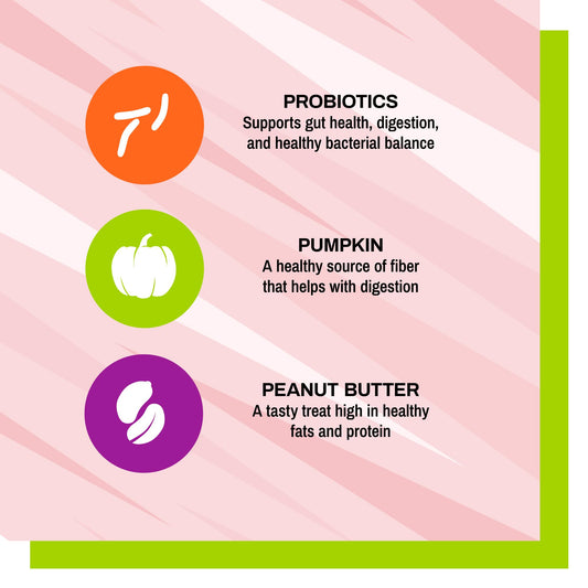 Pet Naturals BusyButter Balanced Belly Peanut Butter Bones, Rawhide-Free Chews for Small Dogs, Long Lasting Chew Bones, Probiotics and Pumpkin for Gut Health, 22 Count