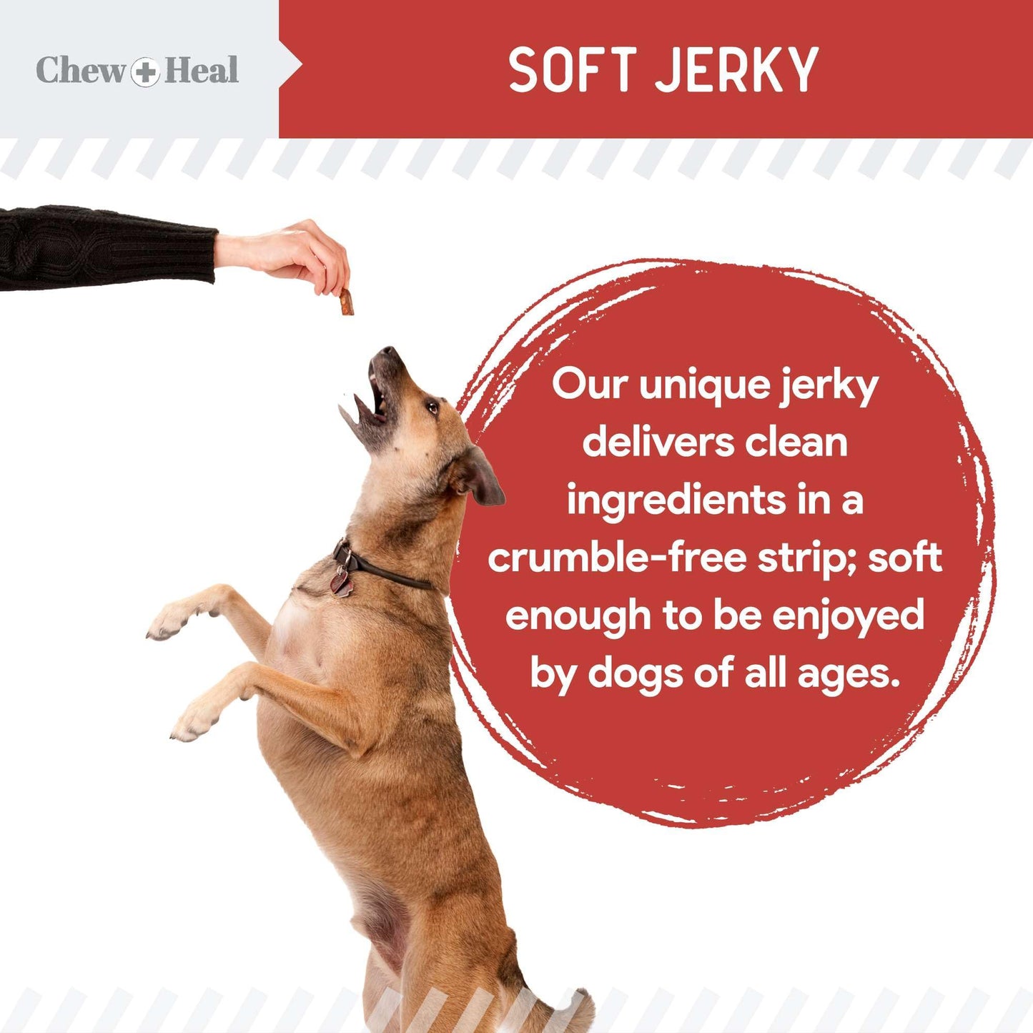 Chew + Heal Labs Dog Salmon Jerky Treats with Cognitive Support - 5 oz of Wild Caught Salmon Jerky Dog Treat - Made with Gingko Biloba, Blueberries, Cranberries, Pumpkin, and More - Made in The USA