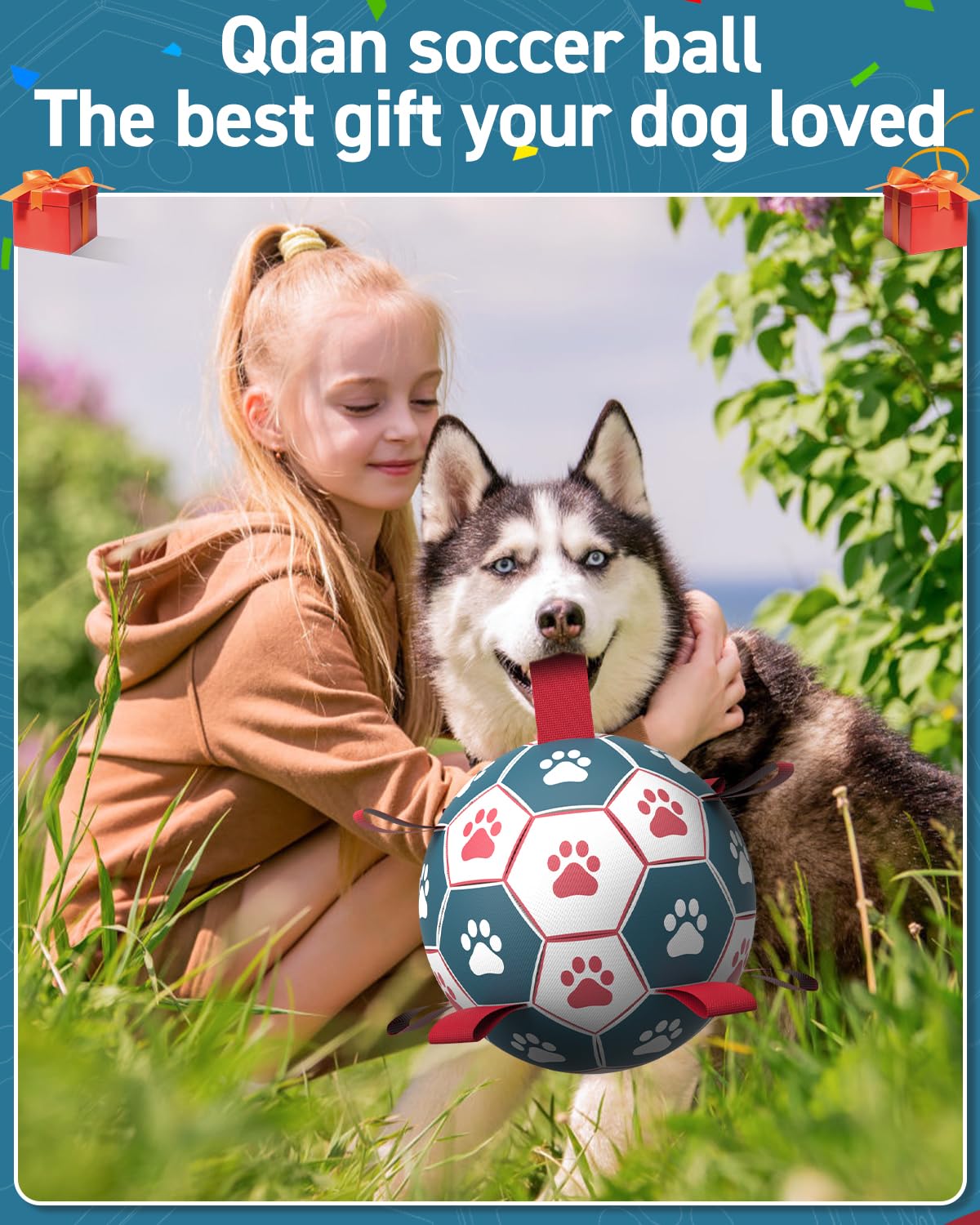 QDAN Dog Toys Soccer Ball with Straps - Durable Giant Dog Balls, Outdoor & Water Toys, Herding Ball, Birthday Gifts (10 Inch)