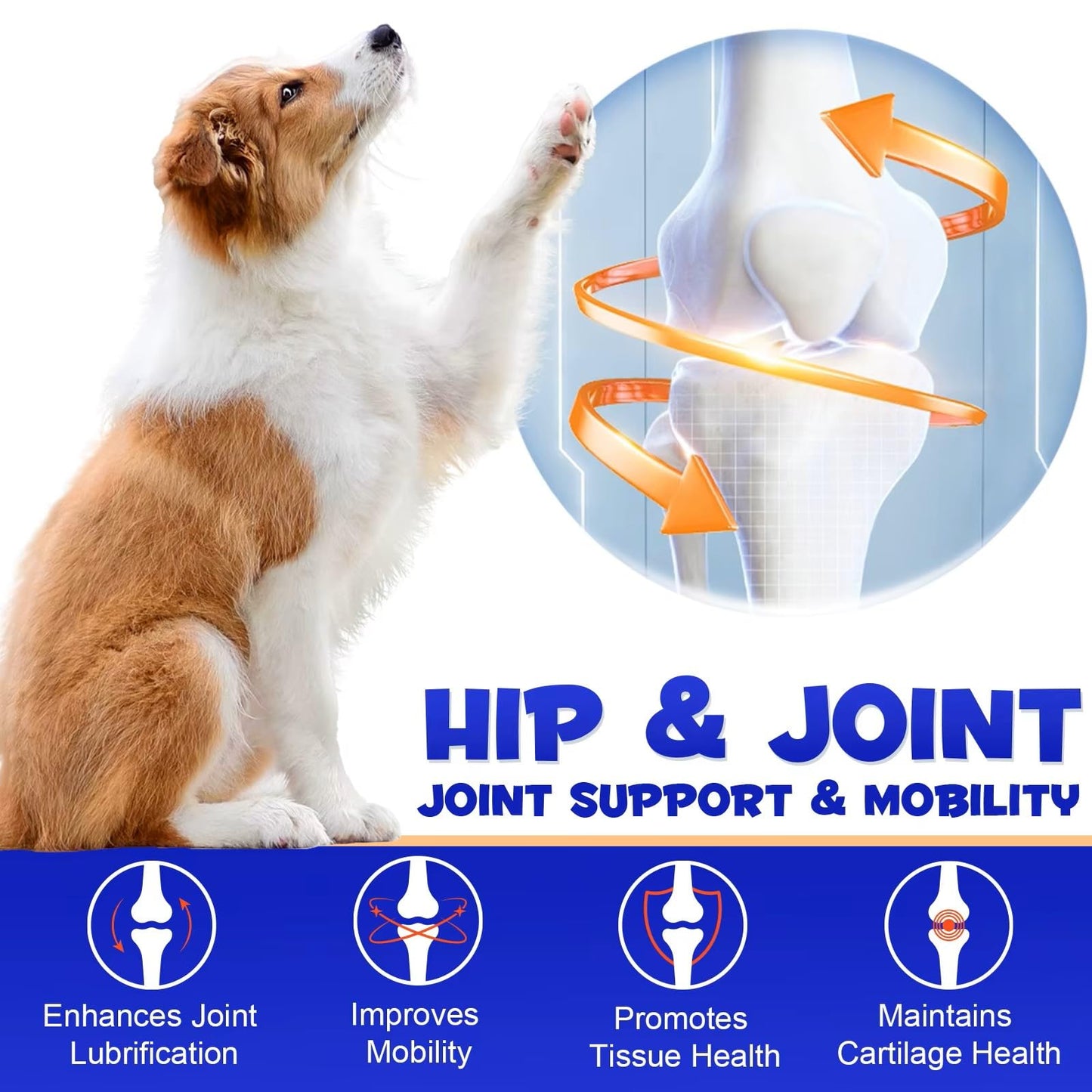 Hyalogic Pro Advanced HyaFlex for Dogs – Amazing Joint Support Supplement for Your Buddy – 30 Beef Flavored Wafers - Dog Joint Supplement w/Hyaluronic Acid, Glucosamine, MSM & Cynatine (30 Tablets)