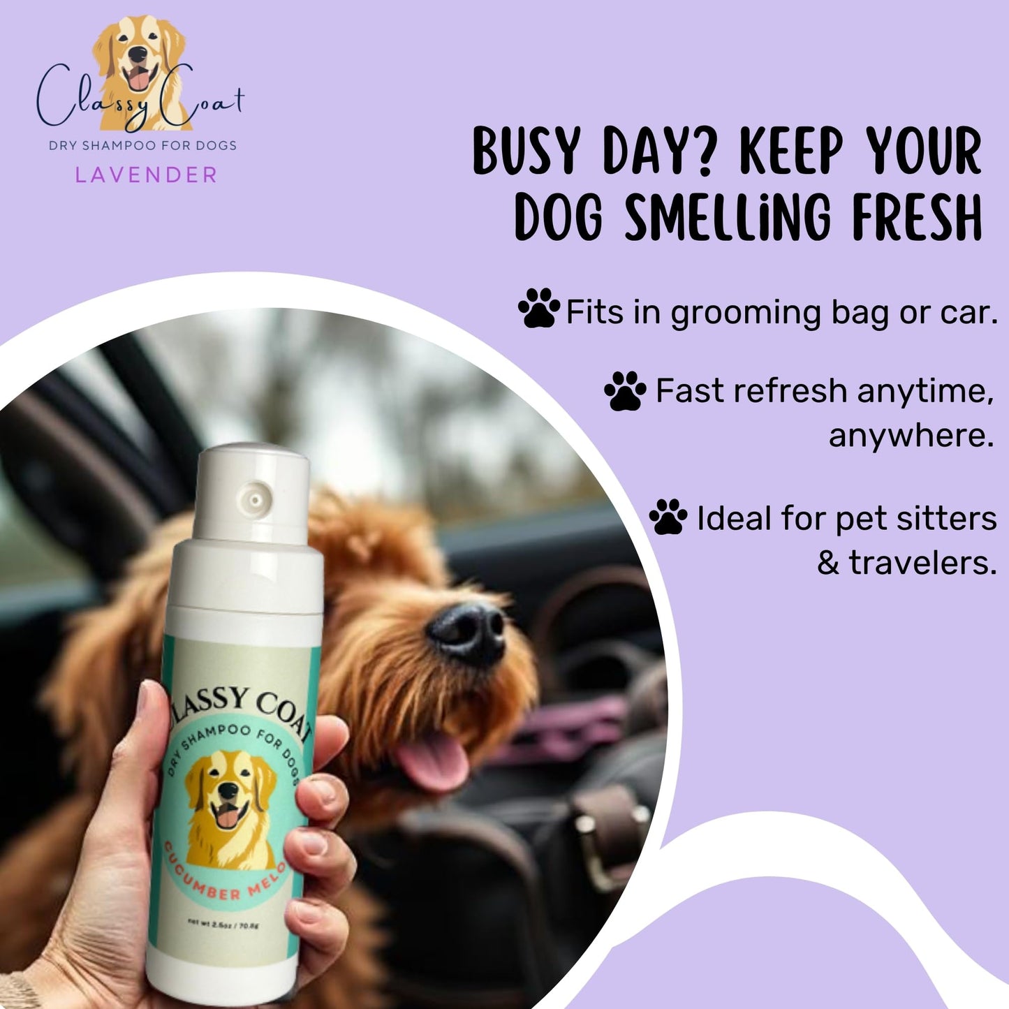Classy Coat Dry Shampoo for Dogs (Lavender) | Waterless No-Rinse Spray Powder | Calming Lavender Scent | Soothing | Talc and Alcohol Free | Safe for Sensitive Skin | Made in USA