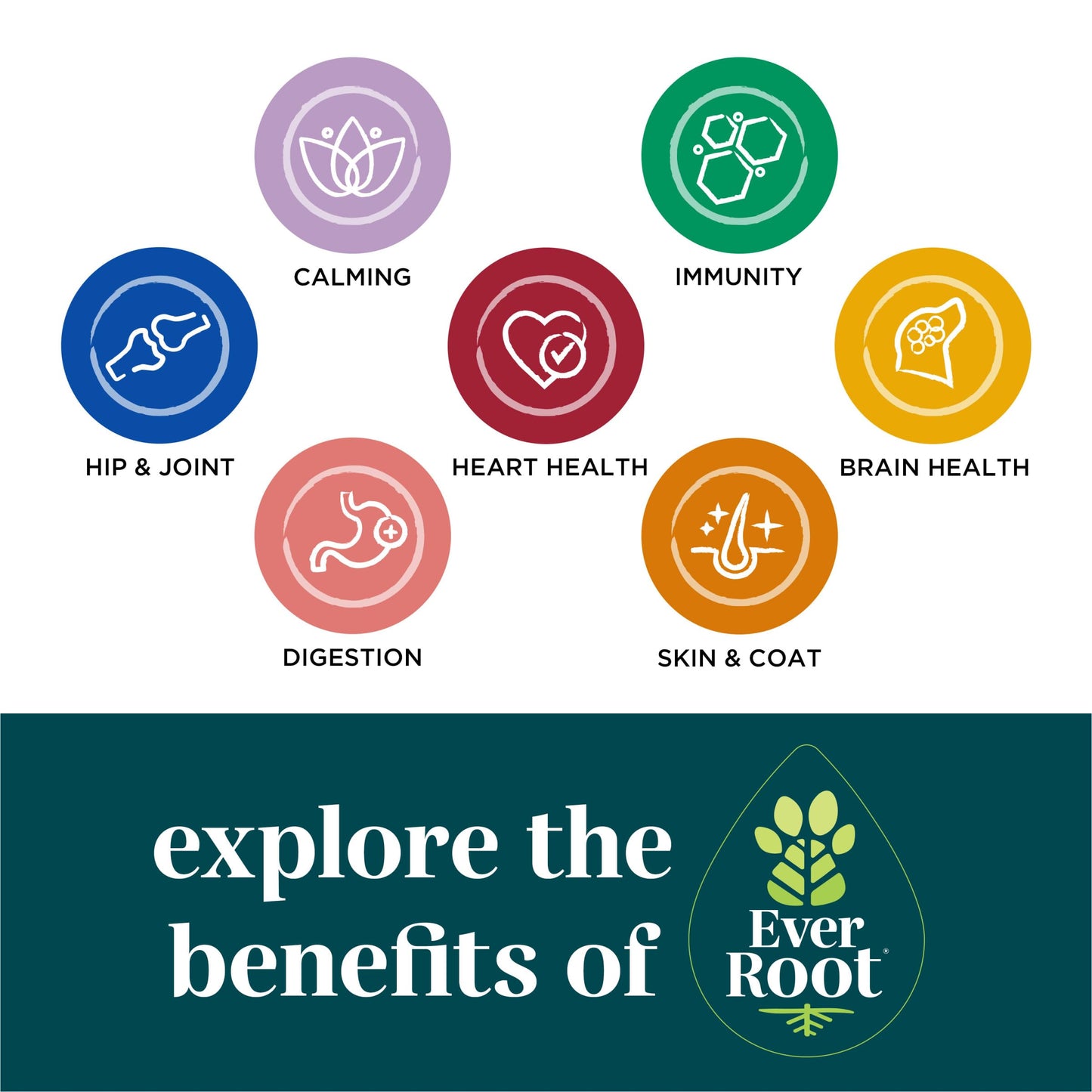 By Purina Multi-Benefit Dog Supplements Soft Chews - 10.6 oz. Canister