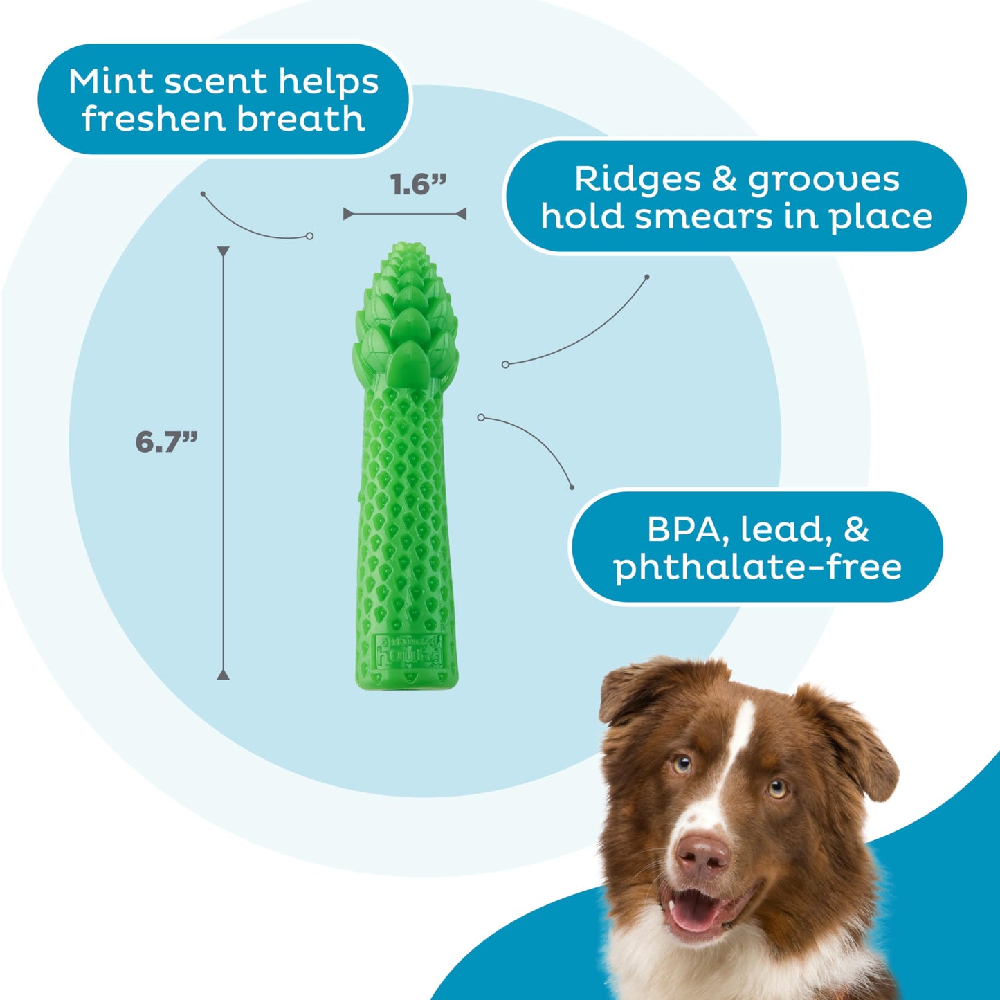 Outward Hound Asparagus Interactive Treat-Dispensing Dog Toy, Medium, Green
