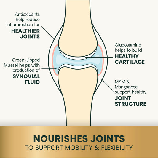 VetriScience Extra Strength Healthy Hip & Joint Chews, GlycoFlex Glucosamine and Green-Lipped Mussel Joint Support Supplement for Dogs, Promote Mobility & Soothe Joint Discomfort, Chicken, 60 Count