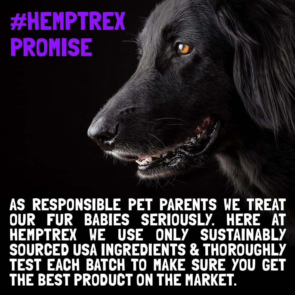 Calming Hemp Treats for Dogs - Made in USA with Organic Hemp - Dog Anxiety Relief - Natural Separation Aid - Helps with Barking, Chewing, Thunder, Fireworks, Aggressive Behavior - 120 Soft Chews