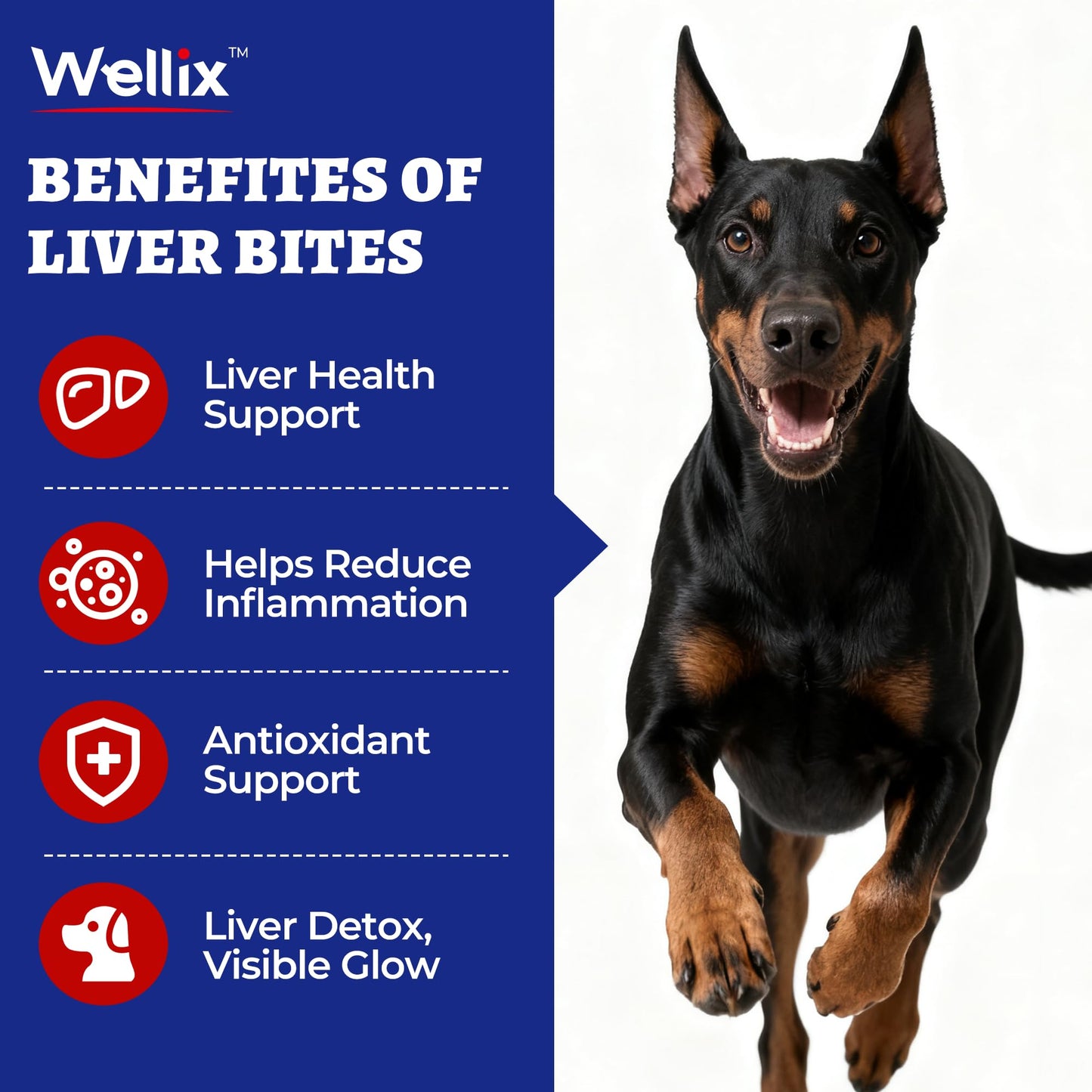 260 Bites Wellix Liver Support for Dogs - Milk Thistle for Dog Liver Supplements with Omega-3 - Supports Heart & Antioxidant for Large,Small Breed Fogs -Chicken Flavor