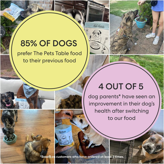 The Pets Table Air Dried Grain Free Dog Food for Dogs Large, Medium and Small | Puppy Dog Food, Adult Dog Food, Senior Dog Food | Salmon & Whitefish with Pumpkin 4.5 lbs / 72 oz Bag