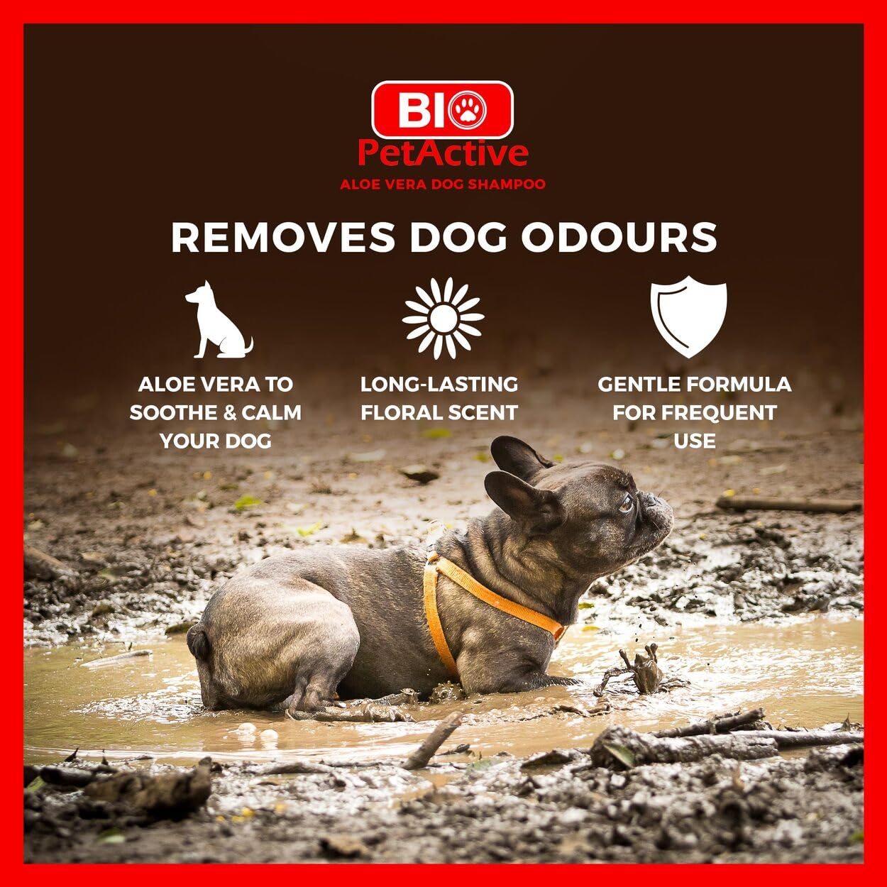 Bio PetActive Aloe Vera Extract Shampoo for Dogs - Cleansing & Moisturizing Care for Sensitive and Normal Skin, Paraben Free, pH Balanced + Natural Ingredients - 13.53 Fl oz