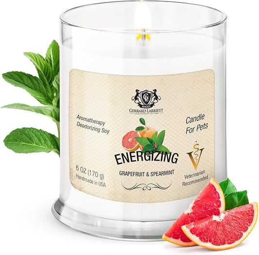 Energizing Grapefruit & Spearmint Scented Candles for Home Decor and Pet Odor - Aromatherapy Stress Relief Soy Wax Candles - Pet Odor Eliminator for Home