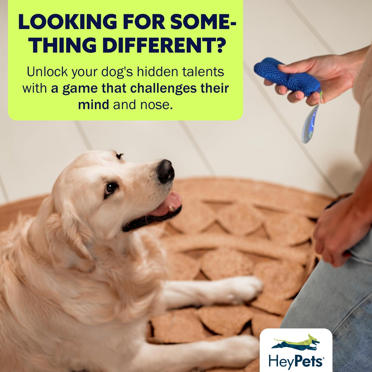 HeyPets Find Fur Fun Scent Training Game for Dogs | Brain Games for Dogs, Mental Stimulation for Dogs, Games for Dogs, Scent Training for Dogs, Brain Training for Dogs, Dog Training Games