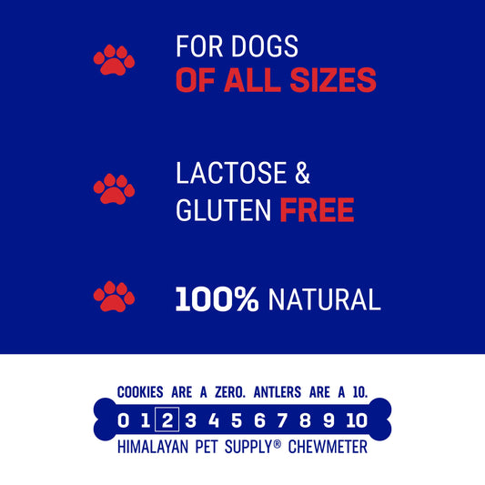 Himalayan Dog Chew Happy Teeth Yak Cheese, Soft Dog Chews, 100% Natural Soft Density Dental Treats, Gluten Free, Safe Treats for Oral Health, Lactose & Grain Free, Protein Rich, Bacon, 2 Count