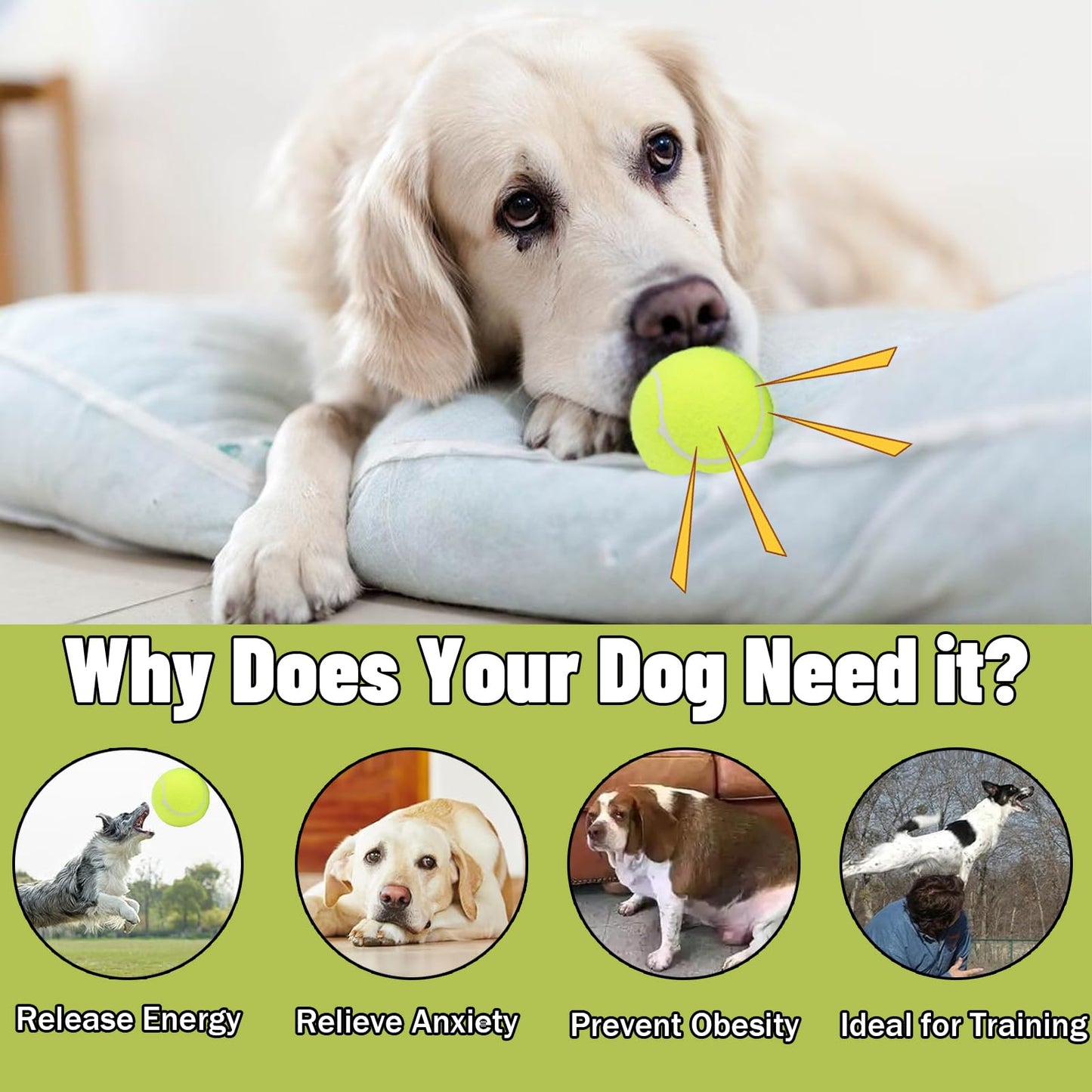 Magicorange Dog Tennis Balls, 20 Pack 2.5 inch Floatable Squeaky Tennis Balls for Fetch Exercise, Natural Rubber Squeaky Dog Balls Training Safe (Yellow, 2.5inch)