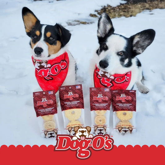 DOG-O'S CHEESY CHOMPERS, Bacon, All-Natural, Made in The USA, Grain Free, Gluten Free, Real Cheese Treats for Small Dogs (Pack of 3 Crunchy Treats)