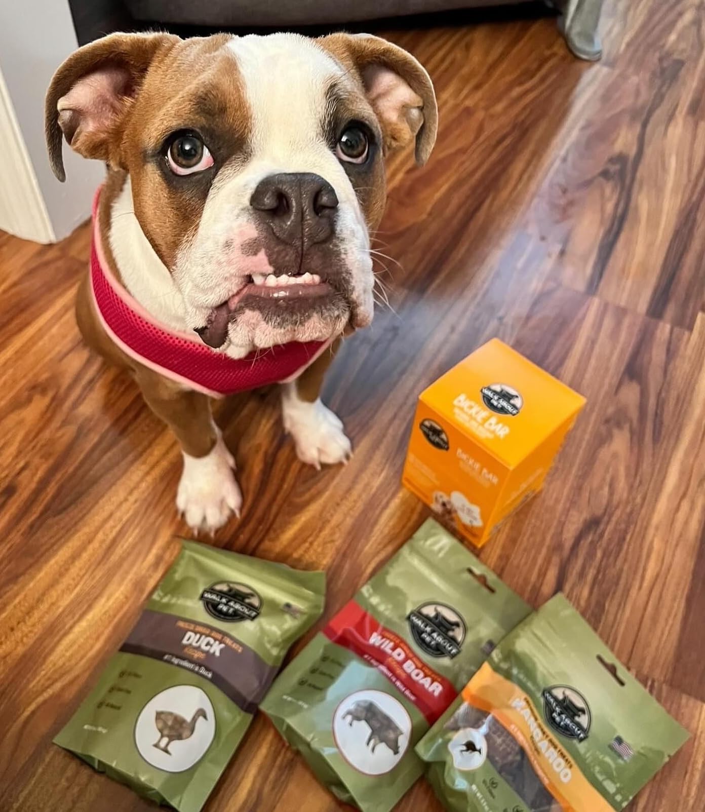 Walk About 3 Pack of Dog Treats Jerky, 5.5 Ounces, Wild Boar Recipe