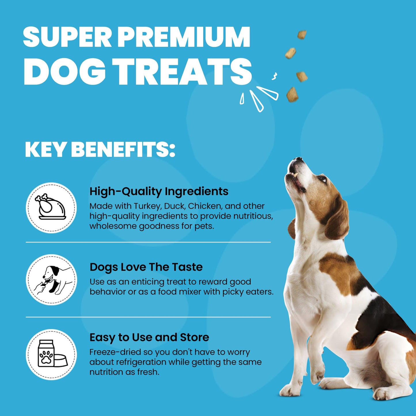 Peanut Butter Dog Treats, Healthy Puppy Treat, Pumpkin, Cricket, Gift for Pet Lovers, Natural Dog Snacks, Hypoallergenic, Gut-Healthy, Medium and Large Dogs, Sustainable Products