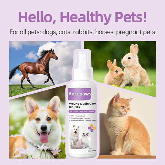 Ancopaws Hot Spot Treatment Spray for Dogs: Soothes Skin Irritation, Allergies & Infections – Pet Skin Treatment Spray to Stop Itching, Reduce Licking & Support Wounds Care for All Animals(4 oz)