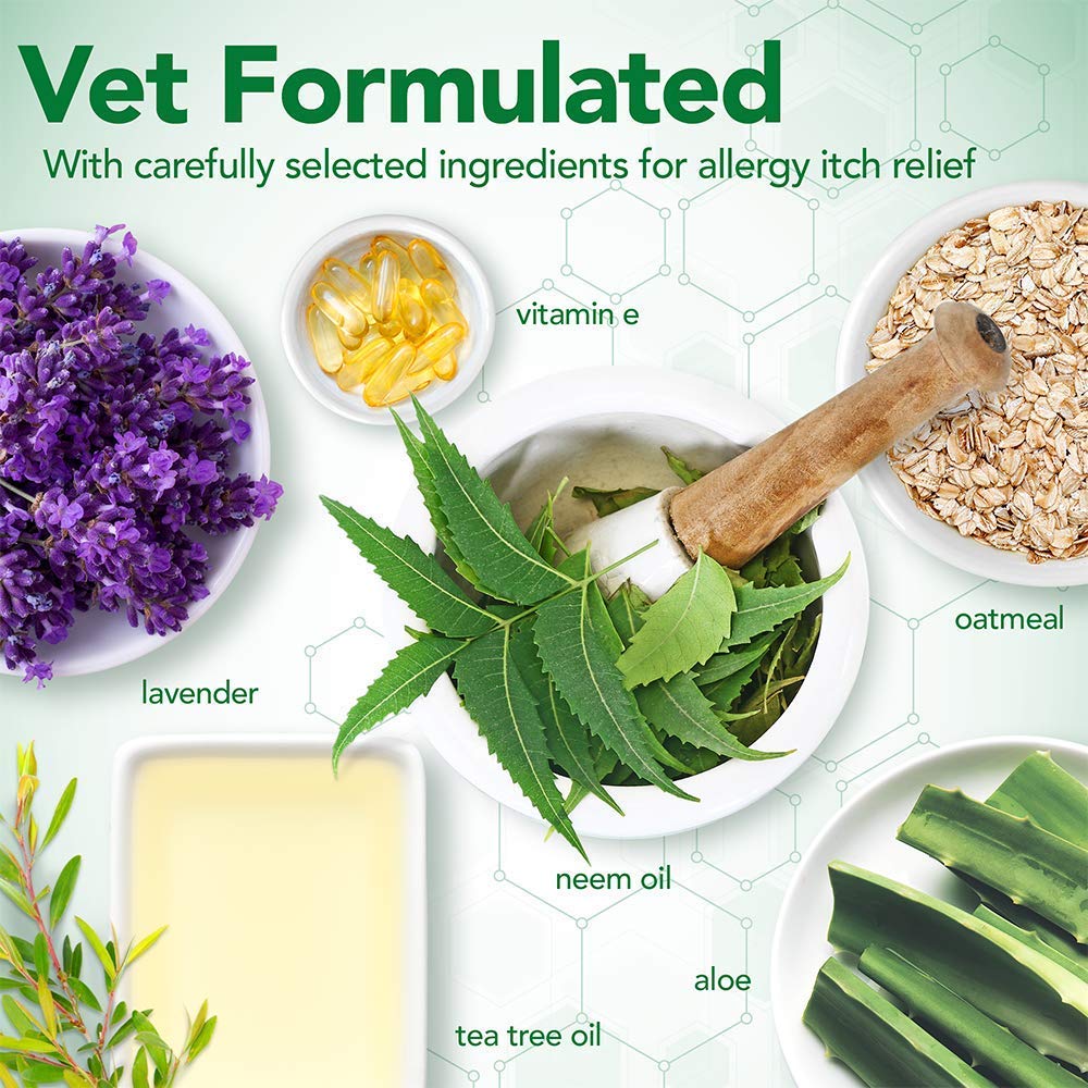 Vet's Best Allergy Relief Dog Shampoo – Oatmeal and Aloe Formula for Itchy Skin and Seasonal Allergies – Soothing Anti-Itch Shampoo for Dogs with Dry, Sensitive Skin – 16 oz